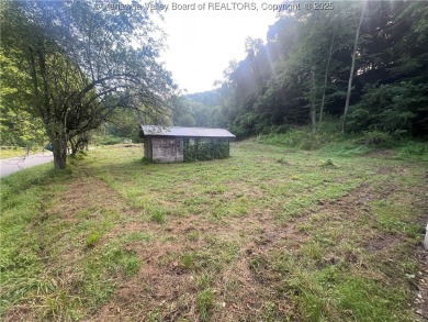 Lake Lot For Sale in Yawkey, West Virginia