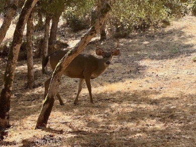 Lake Lot For Sale in Kelseyville, California