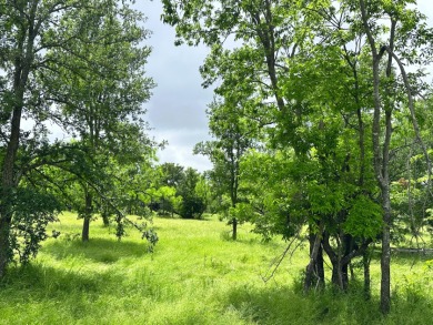 Pristine Waterfront 1+ Acre Lot in Gated Subdivision on RC Lake! - photo 6