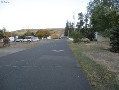 5 bedroom 2 bath with attached 2 car garage and heated 1,500 - photo 41