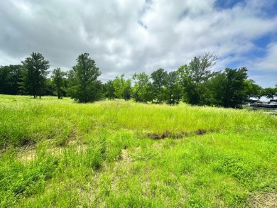 Pristine Waterfront 1+ Acre Lot in Gated Subdivision on RC Lake! - photo 16