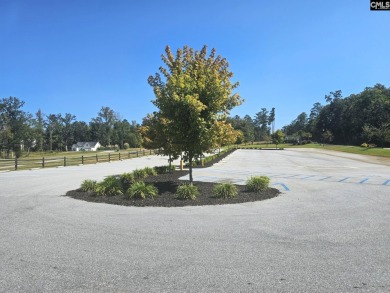 Build your dream home on this beautiful .45-acre waterfront lot - photo 11