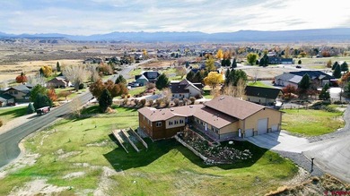 Lake Home For Sale in Montrose, Colorado