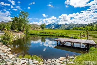 Salmon River - Lehmi County Home For Sale in North Fork Idaho