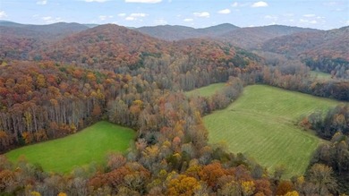(private lake, pond, creek) Acreage For Sale in Ellijay Georgia