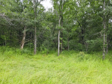 Pristine Waterfront 1+ Acre Lot in Gated Subdivision on RC Lake! - photo 14