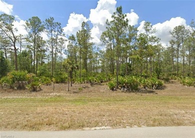 Lehigh Acres Area Lot For Sale in Lehigh Acres Florida