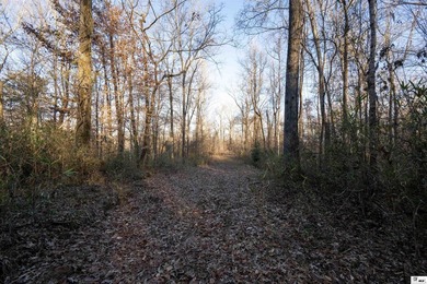 Hunting Land for sale in Jefferson County, MS. This 428.5+/- - photo 11