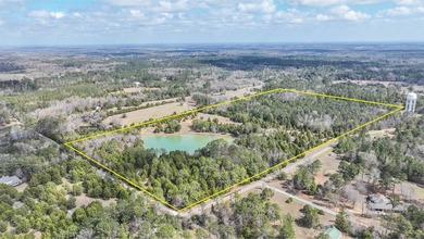 (private lake, pond, coastal) Acreage For Sale in Mathews Alabama