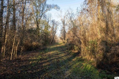 Hunting Land for sale in Jefferson County, MS. This 428.5+/- - photo 12