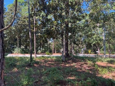Discover a large exceptional building lot located on West Hewett - photo 3