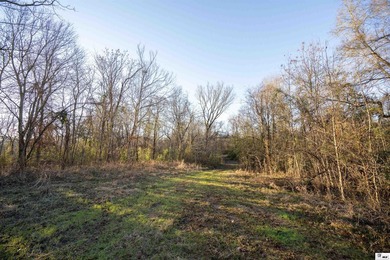 Hunting Land for sale in Jefferson County, MS. This 428.5+/- - photo 14
