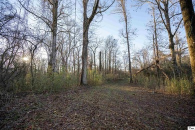 Hunting Land for sale in Jefferson County, MS. This 428.5+/- - photo 15