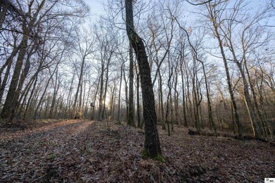 Hunting Land for sale in Jefferson County, MS. This 428.5+/- - photo 16