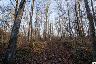 Hunting Land for sale in Jefferson County, MS. This 428.5+/- - photo 17