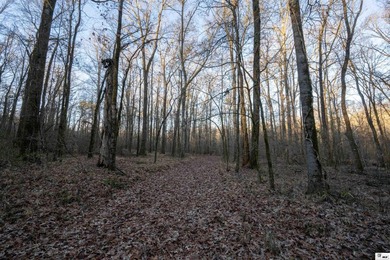Hunting Land for sale in Jefferson County, MS. This 428.5+/- - photo 18
