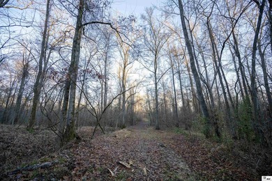 Hunting Land for sale in Jefferson County, MS. This 428.5+/- - photo 19