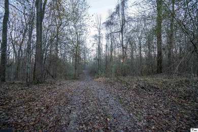 Hunting Land for sale in Jefferson County, MS. This 428.5+/- - photo 20