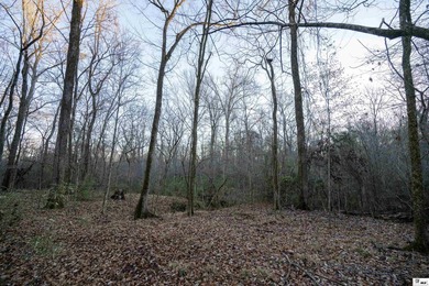 Hunting Land for sale in Jefferson County, MS. This 428.5+/- - photo 22