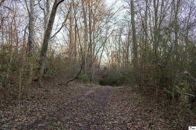 Hunting Land for sale in Jefferson County, MS. This 428.5+/- - photo 24