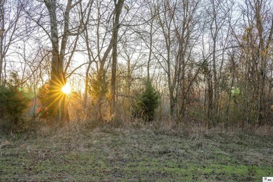 Hunting Land for sale in Jefferson County, MS. This 428.5+/- - photo 25