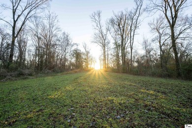 Hunting Land for sale in Jefferson County, MS. This 428.5+/- - photo 26