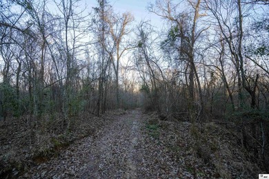 Hunting Land for sale in Jefferson County, MS. This 428.5+/- - photo 27