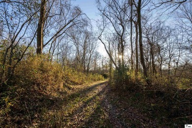 Hunting Land for sale in Jefferson County, MS. This 428.5+/- - photo 28