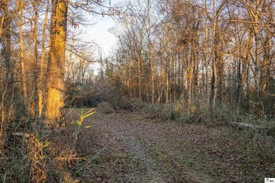 Hunting Land for sale in Jefferson County, MS. This 428.5+/- - photo 30