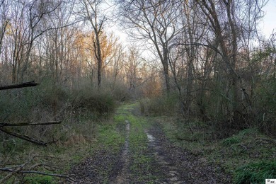Hunting Land for sale in Jefferson County, MS. This 428.5+/- - photo 31
