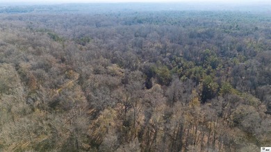 Hunting Land for sale in Jefferson County, MS. This 428.5+/- - photo 32