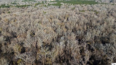 Hunting Land for sale in Jefferson County, MS. This 428.5+/- - photo 33