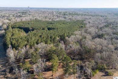 Hunting Land for sale in Jefferson County, MS. This 428.5+/- - photo 35