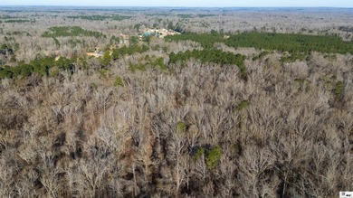 Hunting Land for sale in Jefferson County, MS. This 428.5+/- - photo 36