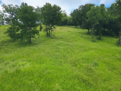 Pristine Waterfront 1+ Acre Lot in Gated Subdivision on RC Lake! - photo 20