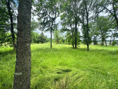 Pristine Waterfront 1+ Acre Lot in Gated Subdivision on RC Lake! - photo 12