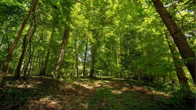 Rare opportunity on Douglas Lake-6.1 Unrestricted Acres! Imagine - photo 11