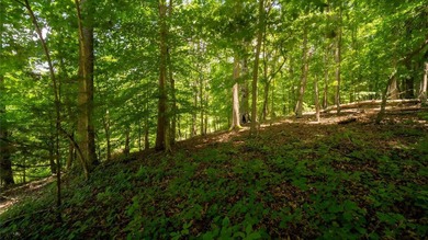 Rare opportunity on Douglas Lake-6.1 Unrestricted Acres! Imagine - photo 14