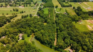 Rare opportunity on Douglas Lake-6.1 Unrestricted Acres! Imagine - photo 15