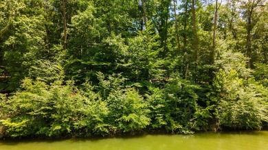 Rare opportunity on Douglas Lake-6.1 Unrestricted Acres! Imagine - photo 20