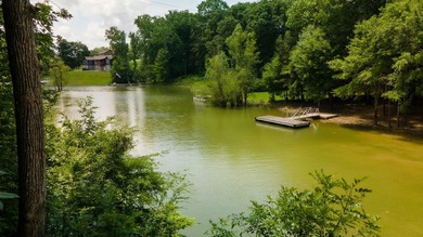 Rare opportunity on Douglas Lake-6.1 Unrestricted Acres! Imagine - photo 21