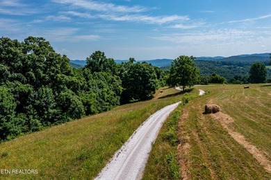 Boasting stunning views of Norris Lake and gorgeous East - photo 22