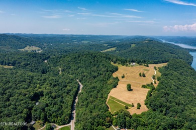 Boasting stunning views of Norris Lake and gorgeous East - photo 30
