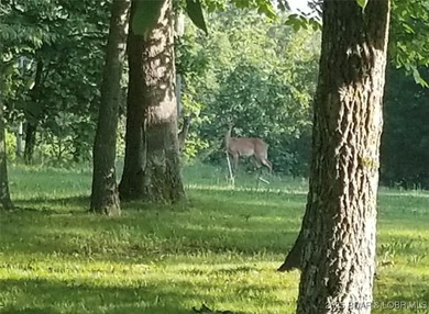 Lake of the Ozarks Acreage For Sale in Stover Missouri