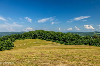 Boasting stunning views of Norris Lake and gorgeous East - photo 35