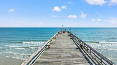 Just Reduced! Don't miss this Rare Opportunity to have a chance - photo 38