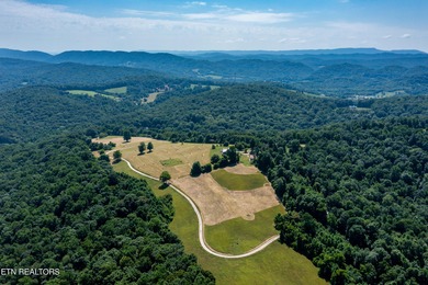 Boasting stunning views of Norris Lake and gorgeous East - photo 40