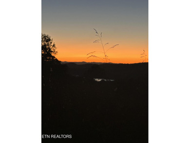 Boasting stunning views of Norris Lake and gorgeous East - photo 60