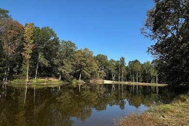 Lake Acreage For Sale in Scroggins, Texas