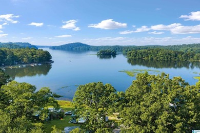 Lay Lake- this one is now up for grabs! Located within walking - photo 12